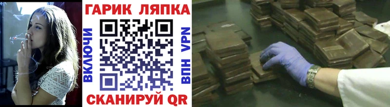 ГАШ Premium  Салаир 