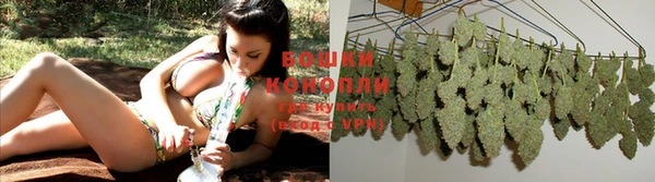 бошки Белокуриха