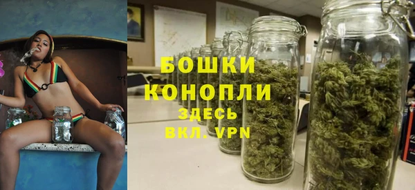 бошки Белокуриха