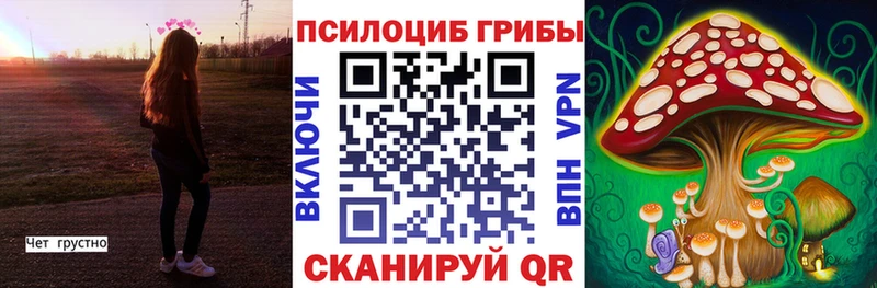 Галлюциногенные грибы Cubensis  купить наркотики сайты  Салаир 